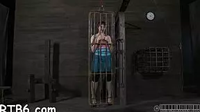 four beauties explore petite cage adventures