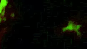 i'm a horny young 18+ slut who loves spitting on cock during oral sucking and deepthroat until squirting