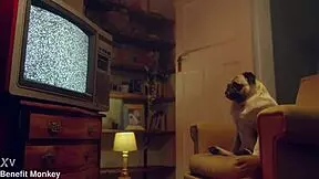 benefit monkey liz rainbow, blue-eyed teen, gets a mouthful of cum.