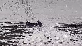 Shaved Pornstar Leaked Online. See The Intense Action That Followed!