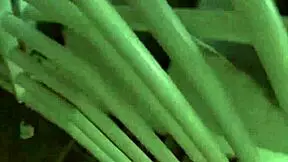 Latina Crystal Lopez enjoys time with her European friends in a group.