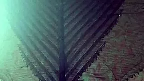 Want to see elza kom tease in those nylon tights fetish?