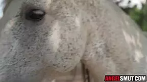 young lesbians get anal and pussy banged hard by stepcousin in wild action