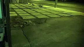 Teen Undergoes Extreme Anal and Group Orgy Domination