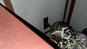 Petite Latina's First Glory Hole Sucking with Pierced Nipples.