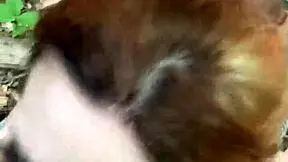 We got caught in the forest while she begged for hard action