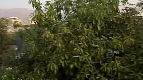 Se filtra video de gatita veve chilena culiando a un fan de 20 años en providencia santiago de chile