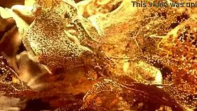 New sexy teen Vicky Demon first ANAL by Lancelot!