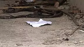 officer bangs hot virgin teen in back office after catching her