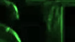 Brødre sier, vi skal knulle stepesøsteren vår hardt hjemme, ansiktsknulling og banging av stor rumpe