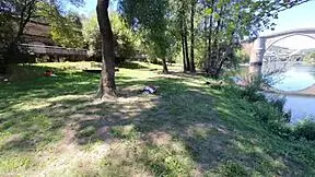 hey stranger, wanna massage this milf's hairy pussy on a public beach?