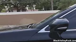 Hot Threesome With Black Teen Babes