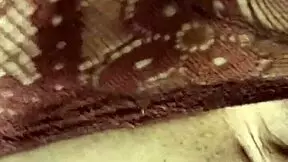 young amateur with natural tits and big ass tries tight anal sex