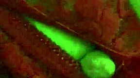 Nurse Betty sucks patient's cock in hospital