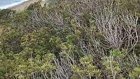 Petite Amateur Gives Blowjob Outdoors in Cyprus Nature During Trip.