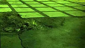 rough anal group outdoor hd masturbation