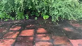 Hot young rental girl fucked in cosplay bra. Domination and fetish in crazy casting interview.