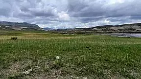 Compilation of Public Peeing Outdoors and at Friends’ Houses in POV