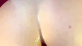 Big Ass Anal Doggy! Spread Wide