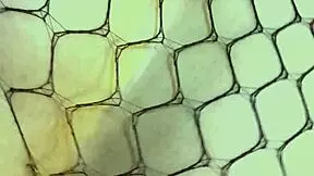 Big ass bent over for doggystyle fucking and cumming in mouth