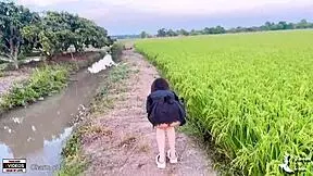 Young couples have sex in rice field