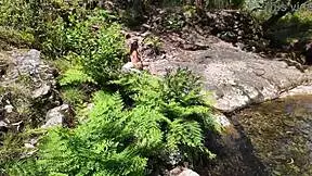 I was huntin for a young 18+ mom, suprised her on the street!