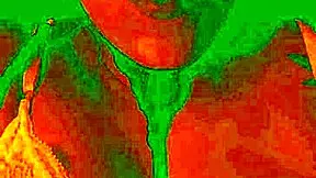 The Exotic Bluee Displays Her Horny Face Of Pleasure As Her Pussy Gets Licked In A Solo Flashing Scene