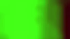 Guy Lasts Only 10 Seconds Fucking!