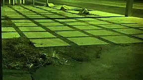 Outdoor Fuck First Time Unless You're From The Sixties!