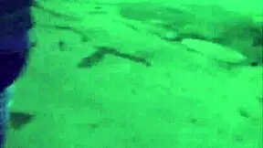 euro teen 18+ gives double blowjob in group