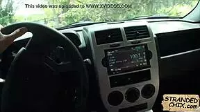 Is dani desire getting fucked in public?