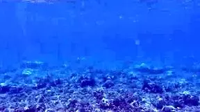 Petite beauty shows off huge dildo, teasing first time use