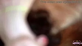 Feeling Excited, She Skips School For Step Bro Blowjob