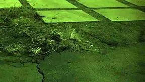 First time electro bondage for teen 18+, unless you're from the sixties 😏