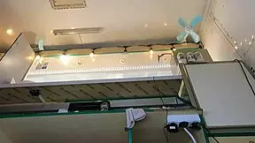 super sexy slim 18+ brunette chick works in pear thongs and braless, showing off her young pussy.