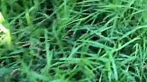 young babe wants to fuck in the bush pov.