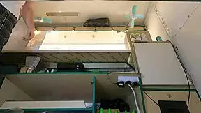 Hot Babe Upskirt At Work 😏