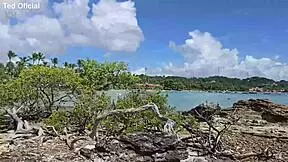 Morro De São Paulo Ted Pounds Mestiça