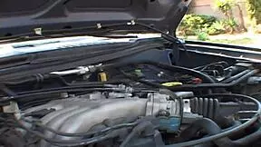 Audrey Hollander gets nasty in sex