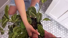 Nastysis Samantha Lexi Teach Stepbro With Big Tits And Monster Cock