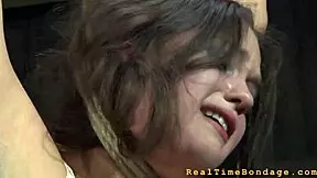 S&M Sex Videos with Tight Pussy Fucking and Oral Action!