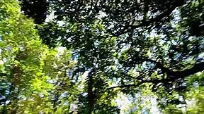 Pinay Teen 18+ College Meet Their School Guard Secretly In The Jungle And Fucked Until Cum In Pussy 🌿