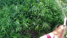 Petite girl screams for help she is lost in nature i help her but she sucks cock well