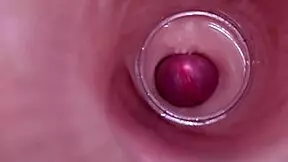 Internal camera captures deep male ejaculation in female insemination