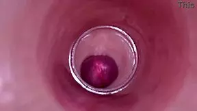 Internal camera captures deep male ejaculation in female insemination