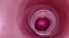 Internal camera captures deep male ejaculation in female insemination