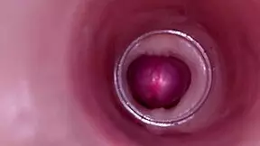 Internal camera captures deep male ejaculation in female insemination