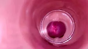 Internal camera captures deep male ejaculation in female insemination
