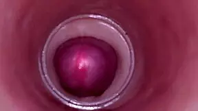 Internal camera captures deep male ejaculation in female insemination
