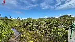 aventura na praia de nudismo acaba todo mundo transando na orgia joao o safado - lunna geek - brinquedo ator 2 - pitbull porn parte 1